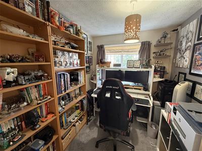 Picture 21